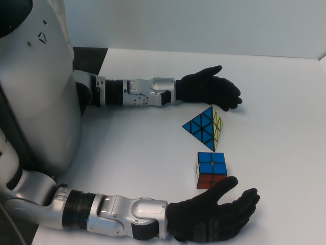 Humanoid Robot View 1